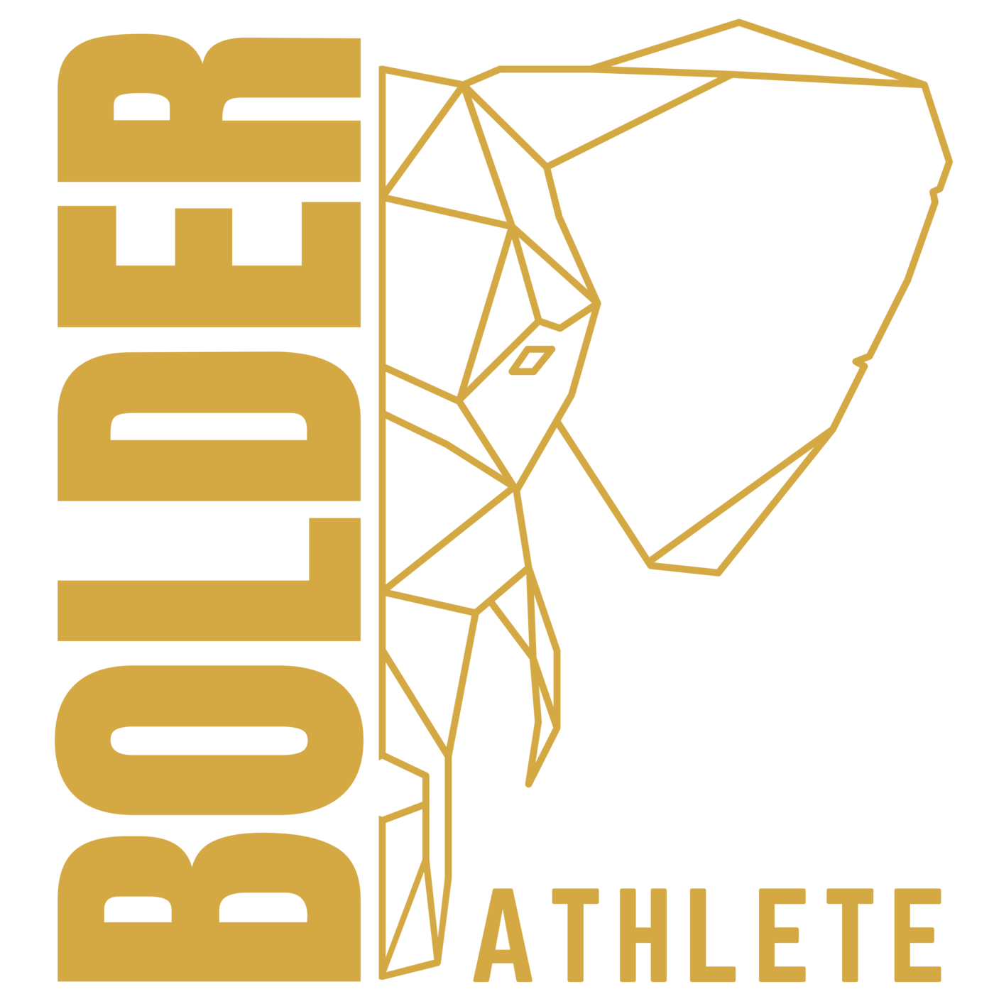 Bolder Athlete